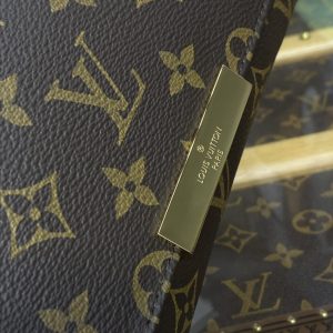 Replica Louis Vuitton Favorite Brown - realistic designer-inspired fake bag