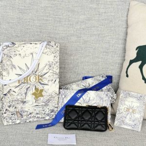 Replica Dior Caro Myrte Zipped - high-accuracy replica luxury purse